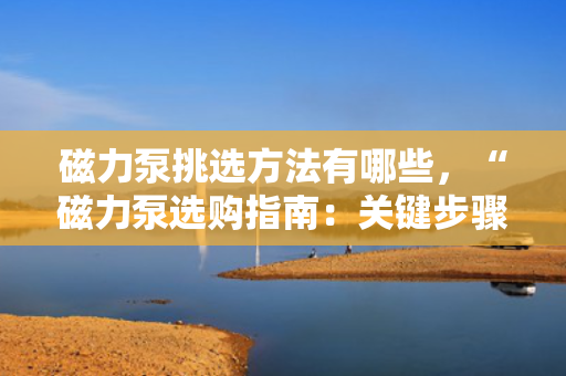 磁力泵挑选方法有哪些，“磁力泵选购指南：关键步骤与技巧一网打尽”