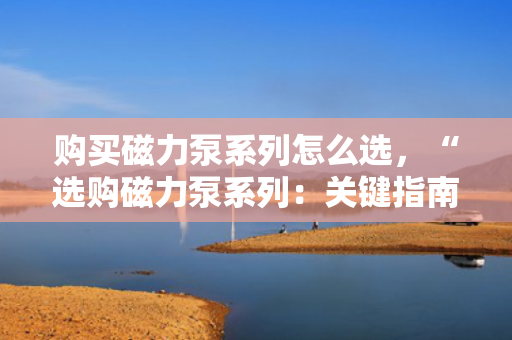 购买磁力泵系列怎么选，“选购磁力泵系列：关键指南与实用建议”