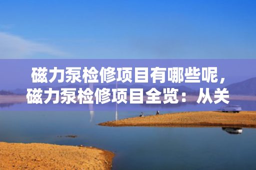 磁力泵检修项目有哪些呢，磁力泵检修项目全览：从关键部件到日常维护的细致指南