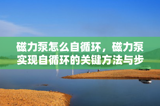 磁力泵怎么自循环，磁力泵实现自循环的关键方法与步骤解析