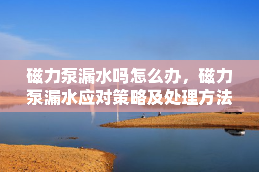 磁力泵漏水吗怎么办，磁力泵漏水应对策略及处理方法