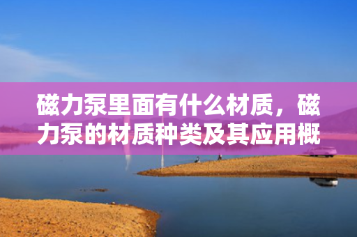 磁力泵里面有什么材质，磁力泵的材质种类及其应用概览