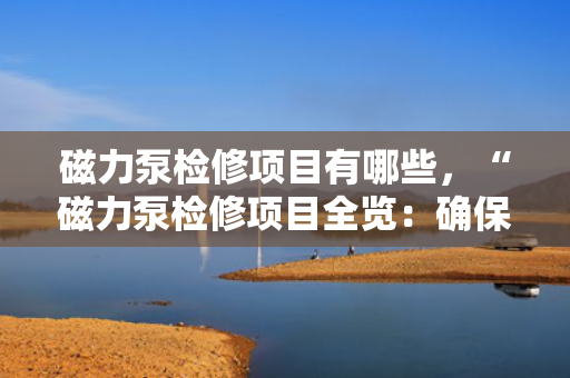 磁力泵检修项目有哪些，“磁力泵检修项目全览：确保设备高效稳定运行的关键步骤”