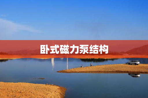 卧式磁力泵结构