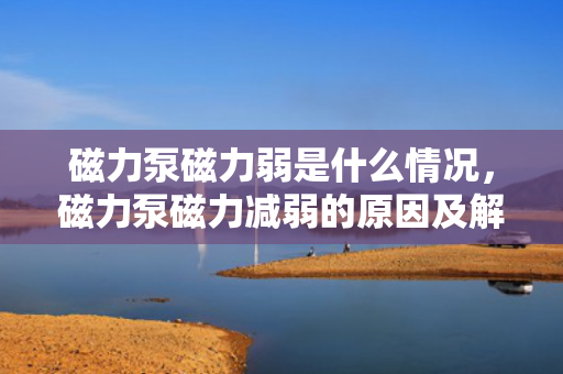磁力泵磁力弱是什么情况，磁力泵磁力减弱的原因及解决方法探讨