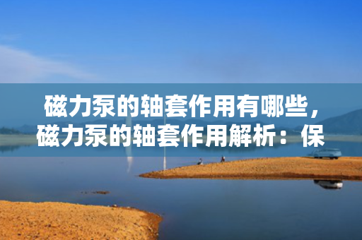 磁力泵的轴套作用有哪些，磁力泵的轴套作用解析：保障高效运转与长久耐用