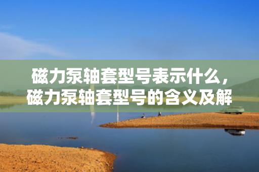 磁力泵轴套型号表示什么，磁力泵轴套型号的含义及解读