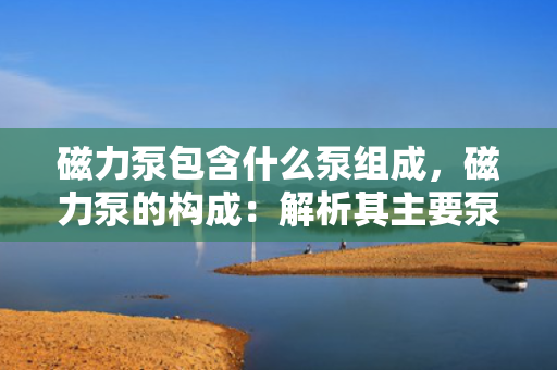 磁力泵包含什么泵组成，磁力泵的构成：解析其主要泵类组件
