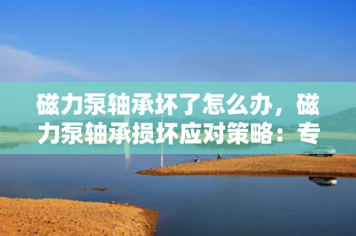 磁力泵轴承坏了怎么办，磁力泵轴承损坏应对策略：专业维修与更换指南