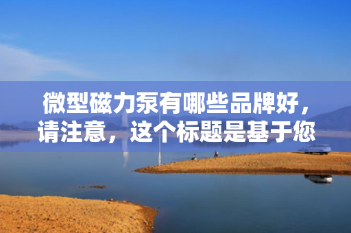 微型磁力泵有哪些品牌好，请注意，这个标题是基于您提供的内容生成的，但在实际情况下，选择磁力泵品牌时，还需要根据具体的应用需求、预算、品牌声誉等多个因素进行综合考虑。