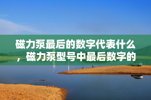 磁力泵最后的数字代表什么，磁力泵型号中最后数字的含义解析