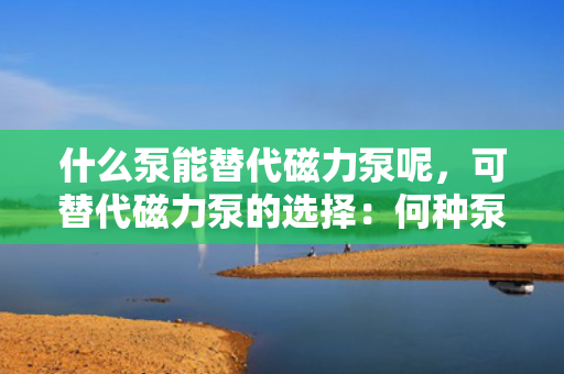 什么泵能替代磁力泵呢，可替代磁力泵的选择：何种泵能够胜任磁力泵的角色？