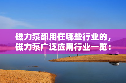 磁力泵都用在哪些行业的，磁力泵广泛应用行业一览：涵盖化工、制药、石油等多个领域