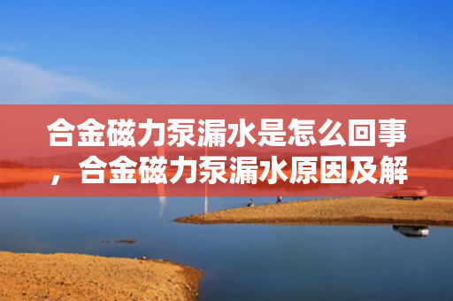 合金磁力泵漏水是怎么回事，合金磁力泵漏水原因及解决方法