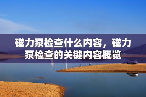 磁力泵检查什么内容，磁力泵检查的关键内容概览