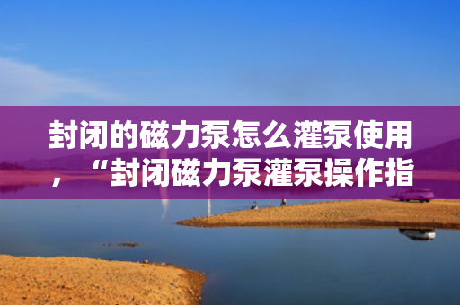 封闭的磁力泵怎么灌泵使用，“封闭磁力泵灌泵操作指南：安全、高效的使用技巧”