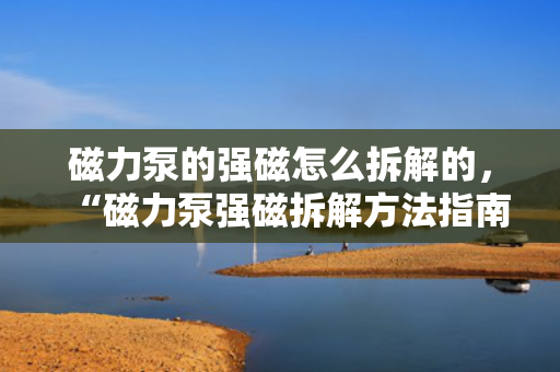 磁力泵的强磁怎么拆解的，“磁力泵强磁拆解方法指南”