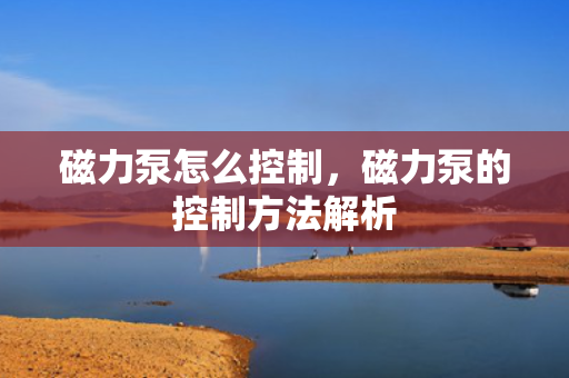 磁力泵怎么控制，磁力泵的控制方法解析