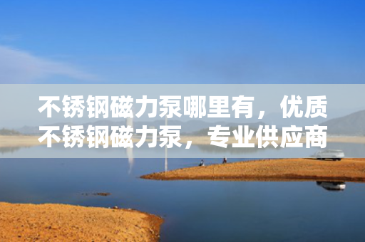 不锈钢磁力泵哪里有，优质不锈钢磁力泵，专业供应商等您来选