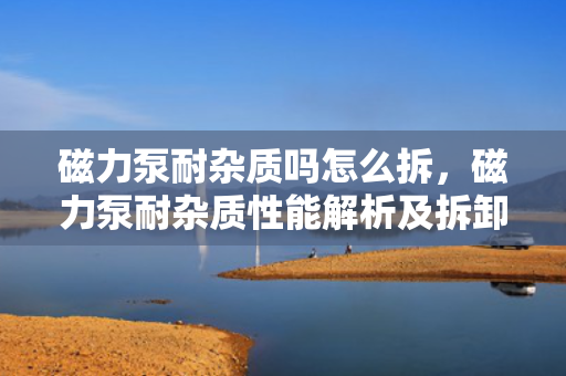 磁力泵耐杂质吗怎么拆，磁力泵耐杂质性能解析及拆卸方法指南