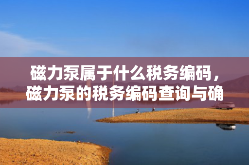 磁力泵属于什么税务编码，磁力泵的税务编码查询与确定方法