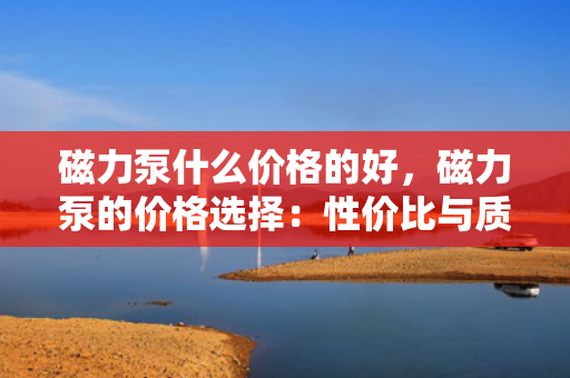 磁力泵什么价格的好，磁力泵的价格选择：性价比与质量的完美平衡