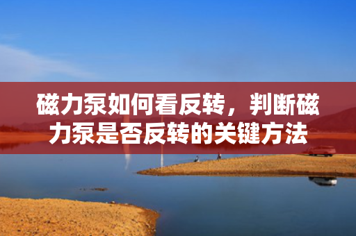 磁力泵如何看反转，判断磁力泵是否反转的关键方法