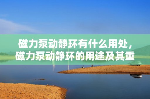 磁力泵动静环有什么用处，磁力泵动静环的用途及其重要作用解析