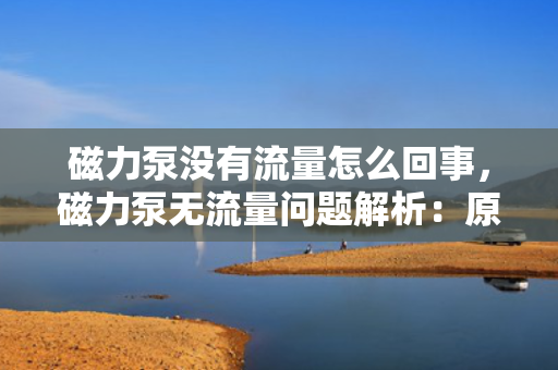 磁力泵没有流量怎么回事，磁力泵无流量问题解析：原因及解决方案探讨