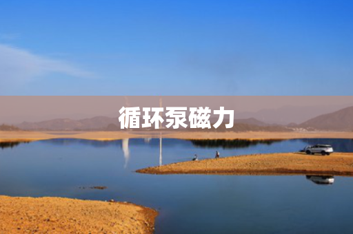 循环泵磁力