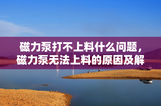 磁力泵打不上料什么问题，磁力泵无法上料的原因及解决方案
