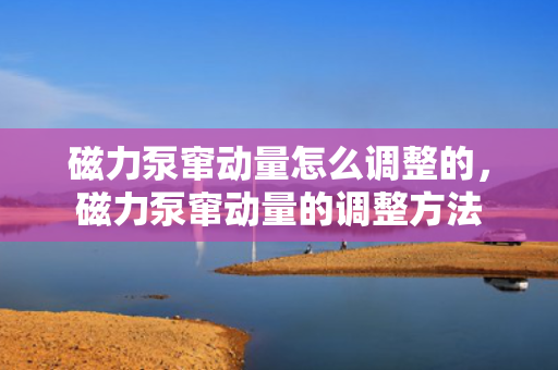 磁力泵窜动量怎么调整的，磁力泵窜动量的调整方法