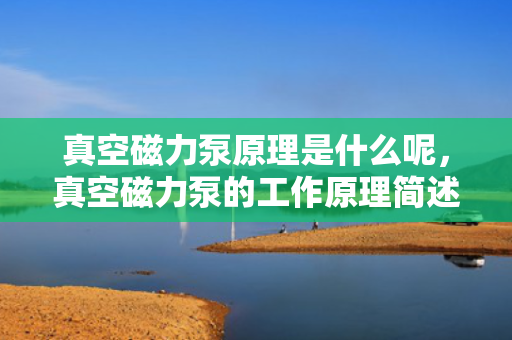 真空磁力泵原理是什么呢，真空磁力泵的工作原理简述