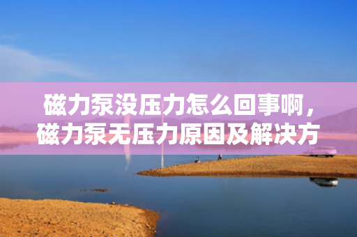 磁力泵没压力怎么回事啊，磁力泵无压力原因及解决方法