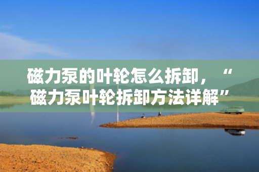 磁力泵的叶轮怎么拆卸，“磁力泵叶轮拆卸方法详解”