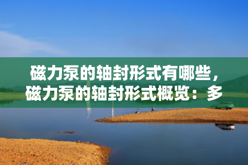 磁力泵的轴封形式有哪些，磁力泵的轴封形式概览：多种选择满足不同需求