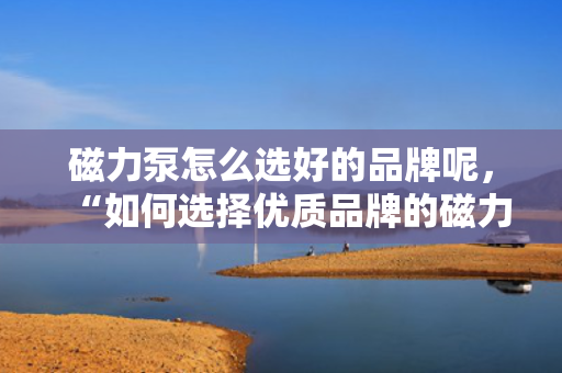 磁力泵怎么选好的品牌呢，“如何选择优质品牌的磁力泵：关键步骤与指南”