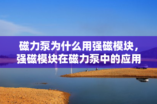 磁力泵为什么用强磁模块，强磁?？樵诖帕Ρ弥械挠τ迷颍禾嵘苡氡Ｕ显诵形榷ㄐ? title=