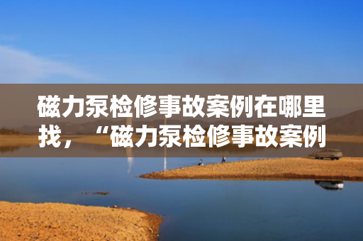 磁力泵检修事故案例在哪里找，“磁力泵检修事故案例分析及查找途径”