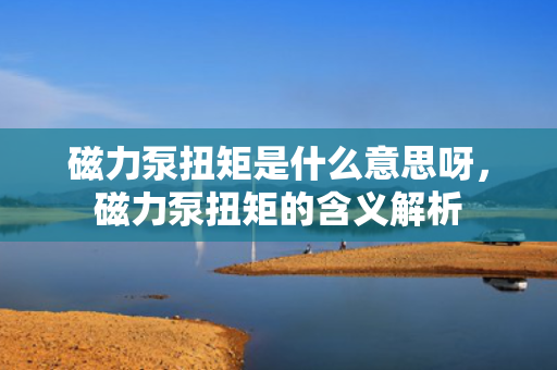 磁力泵扭矩是什么意思呀，磁力泵扭矩的含义解析