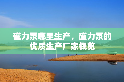 磁力泵哪里生产，磁力泵的优质生产厂家概览