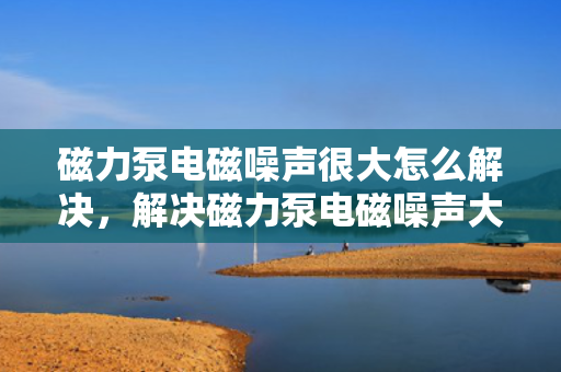 磁力泵电磁噪声很大怎么解决，解决磁力泵电磁噪声大的有效方法