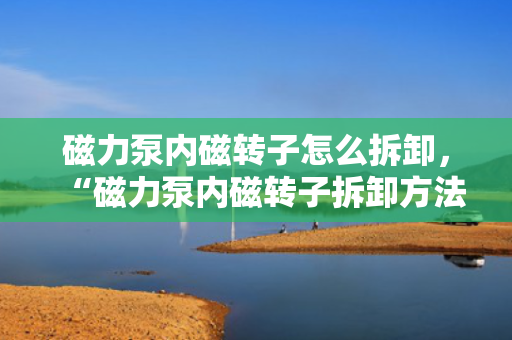 磁力泵内磁转子怎么拆卸，“磁力泵内磁转子拆卸方法详解”