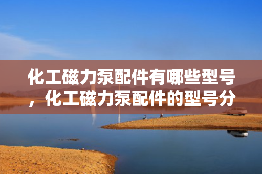 化工磁力泵配件有哪些型号，化工磁力泵配件的型号分类概览