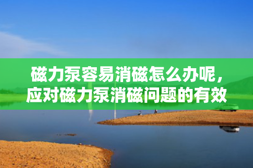 磁力泵容易消磁怎么办呢，应对磁力泵消磁问题的有效策略