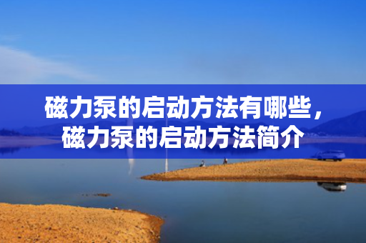 磁力泵的启动方法有哪些，磁力泵的启动方法简介