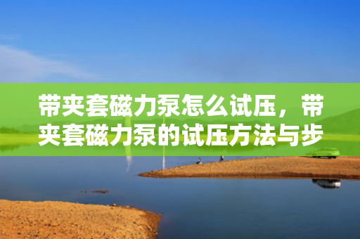 带夹套磁力泵怎么试压，带夹套磁力泵的试压方法与步骤解析