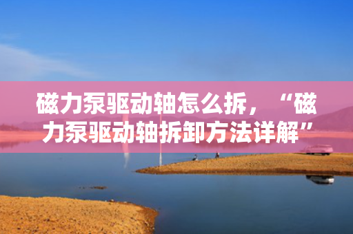 磁力泵驱动轴怎么拆，“磁力泵驱动轴拆卸方法详解”