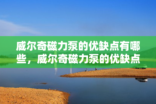 威尔奇磁力泵的优缺点有哪些，威尔奇磁力泵的优缺点解析