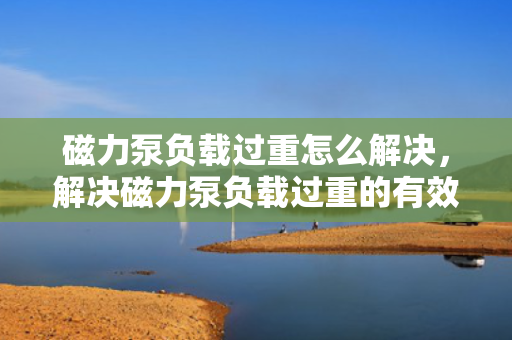 磁力泵负载过重怎么解决，解决磁力泵负载过重的有效方法